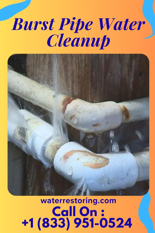 Burst Pipe Water Cleanup in New Holstein, WI