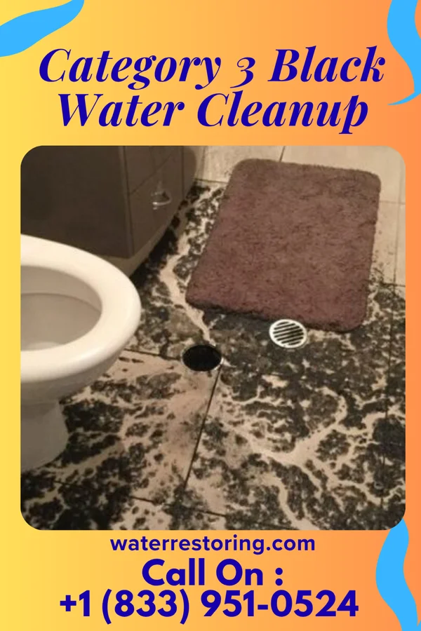 Category 3 Black Water Cleanup in New Holstein, WI
