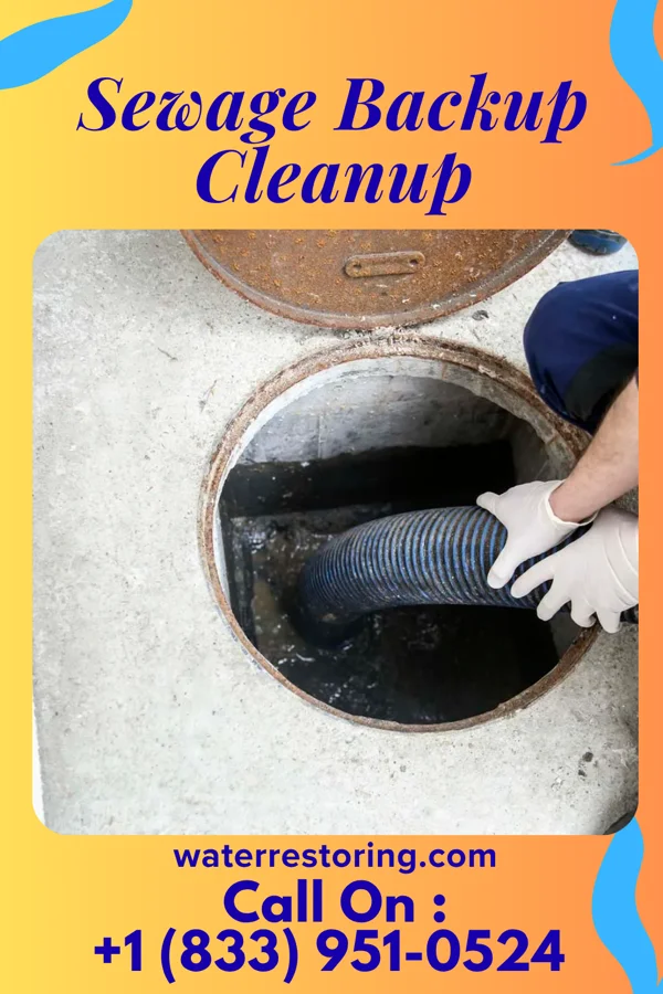 Sewage Backup Cleanup in New Holstein, WI