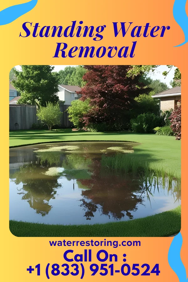 Standing Water Removal in New Holstein, WI